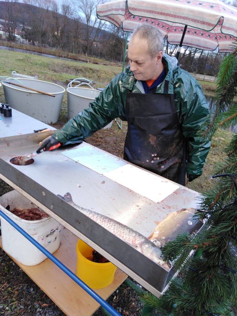 Pracovní stůl pro prodej Vánočních kaprů